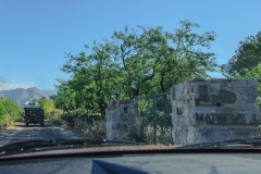 DSC10002a